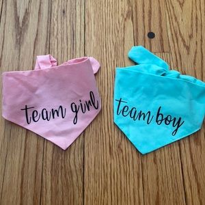 Gender Reveal Cat or Small Dog Bandanas